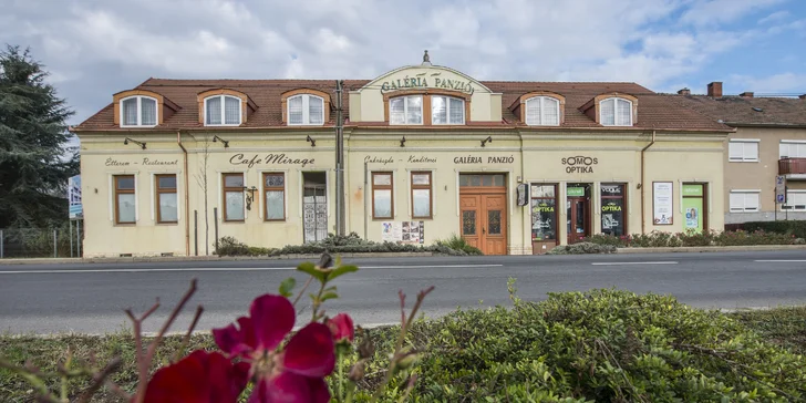 Pobyt v centre mesta Sárvár so vstupom do termálnych kúpeľov