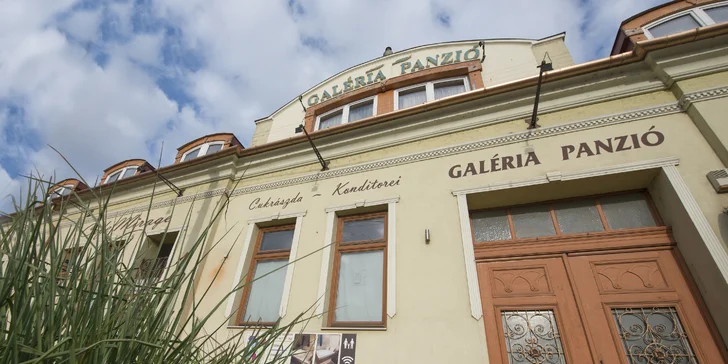 Pobyt v centre mesta Sárvár so vstupom do termálnych kúpeľov