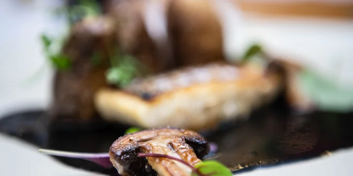 5-chodové degustačné menu s prémiovými vínami alebo otvorený voucher v reštaurácii ELESKO