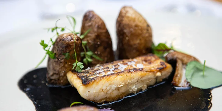 5-chodové degustačné menu s prémiovými vínami alebo otvorený voucher v reštaurácii ELESKO