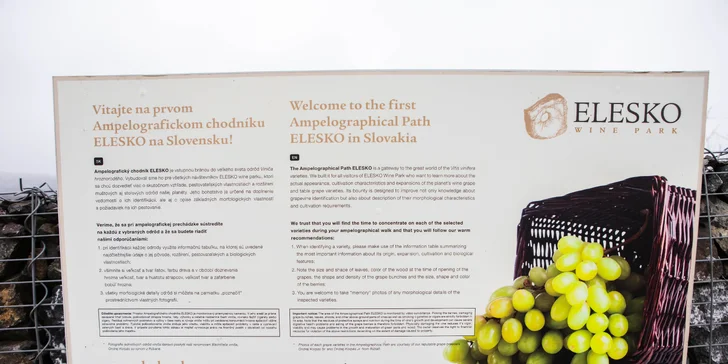Elesko wine park - luxusné apartmány v lone viníc
