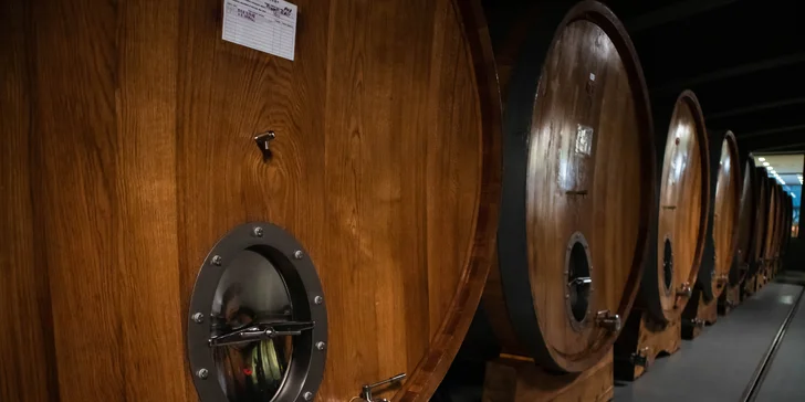 Elesko wine park - luxusné apartmány v lone viníc