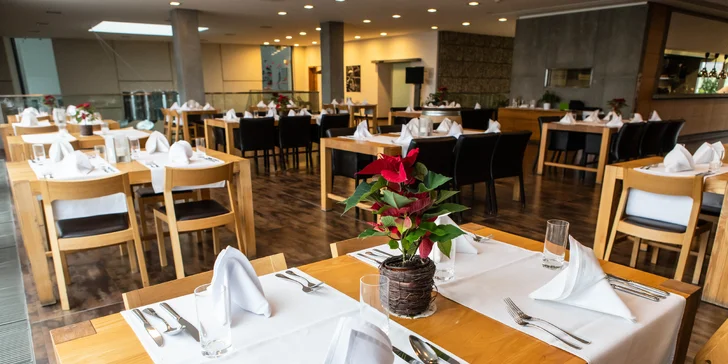 Elesko wine park - luxusné apartmány v lone viníc