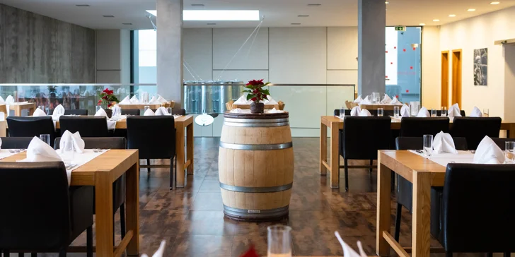 Elesko wine park - luxusné apartmány v lone viníc