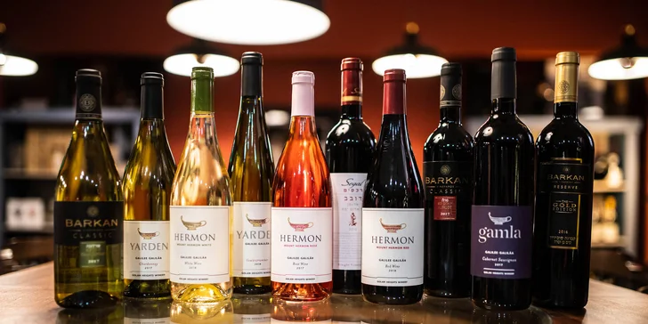 Riadená degustácia 10 izraelských vín v Art Vínotéke