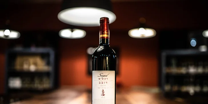 Riadená degustácia 10 izraelských vín v Art Vínotéke