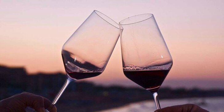 Raj milovníkov vína a južnej Moravy: Vinný sklep Krýsa s prehliadkou vinohradu