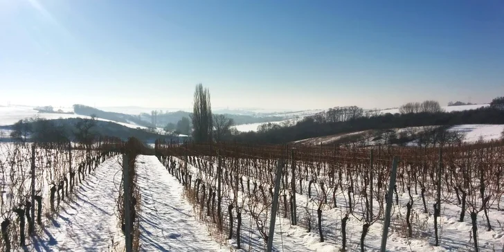 Raj milovníkov vína a južnej Moravy: Vinný sklep Krýsa s prehliadkou vinohradu