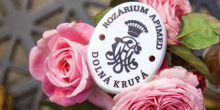 Prehliadka Medolandie s degustáciou medoviny aj s možnosťou romantického menu