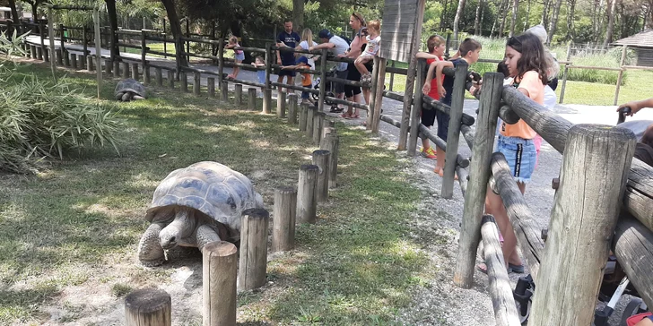 Víkendový oddych pri mori v talianskom Bibione alebo Lignane