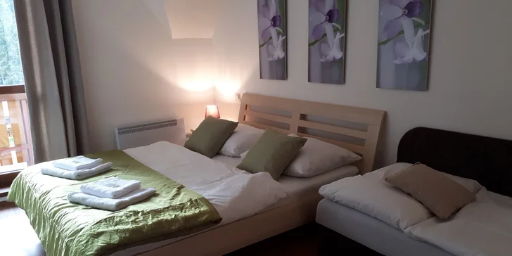 Pobyt na Donovaloch v Apartmánovom dome Kamzík, 200 m od DONOVALKOVA
