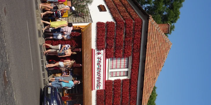 Levanduľový festival v Tihány a návšteva Benediktínskeho opáctva: 1-dňový zájazd