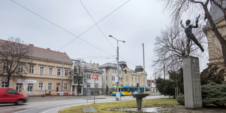 Kurací steak, bravčová živánska, stroganov z panenky alebo losos
