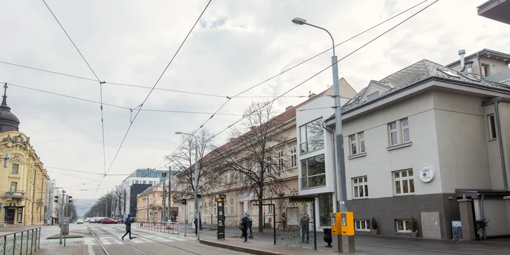 Misy na každú príležitosť - cestovinový šalát, zeleninová misa, rezne, chlebíčky aj pečená hus