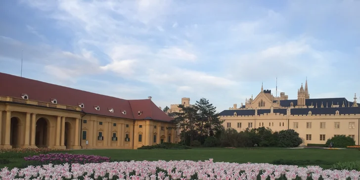Relax na južnej Morave: polpenzia a wellness s vonkajším bazénom