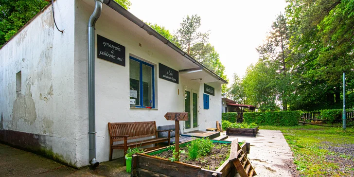 Vegetariánsky / vegánsky burger s pečenými zemiakmi alebo víkendové menu