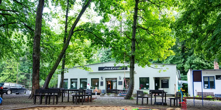 Vegetariánsky / vegánsky burger s pečenými zemiakmi alebo víkendové menu
