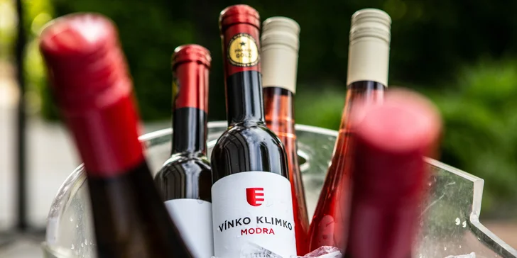 Ochutnávka 20 druhov vín aj s exkluzívnym darčekom