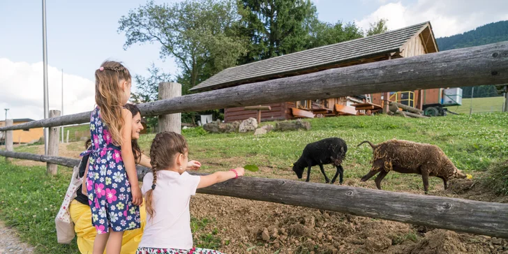 Zážitkový pobyt v novom Salaši Syrex v Zázrivej so štýlovými izbami, tradičnými špecialitami vlastnej výroby a kontaktným ZOO pod Malým Rozsutcom