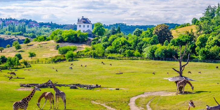 Pobyt priamo pri Václaváku: maximálny komfort, bohaté raňajky a variant s grilovaním a vstupmi na zaujímavé miesta