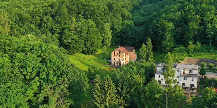 Romantický wellness pobyt vo Ville Carpe Diem*** v Trenčianskych Tepliciach