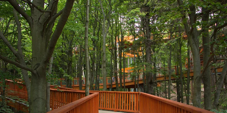 Dovolenka v Čeladnej v Beskydách: polpenzia, neobmedzený wellness a zľavy na atrakcie