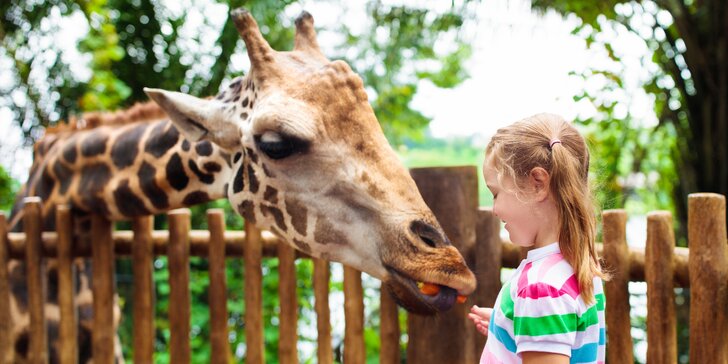 Poďte na výlet do najmodernejšej ZOO v celej Európe - Nyíregyháza Animal park!