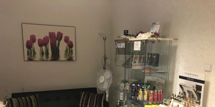 Jednorázové vstupy a permanetnky na lymfodrenáž a vibračnú plošinu
