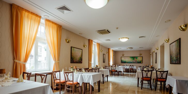 Hotel Sandor Pavillon**** v centre kúpeľného mestečka Piešťany: wellness pobyt s polpenziou