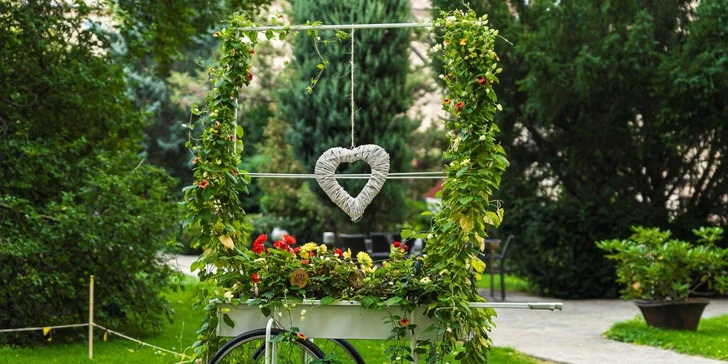Legendárny Hotel International: pobyt s jedlom i romantika s masážou, skvelá dostupnosť do centra