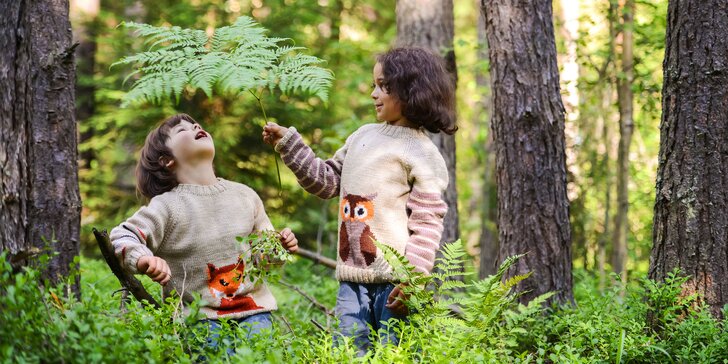 Zábavno-vzdelávacie programy pre deti v lesnom prostredí Krásne Sady