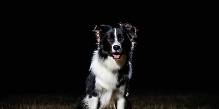 Profesionálne fotografovanie vás a vašich psích miláčikov