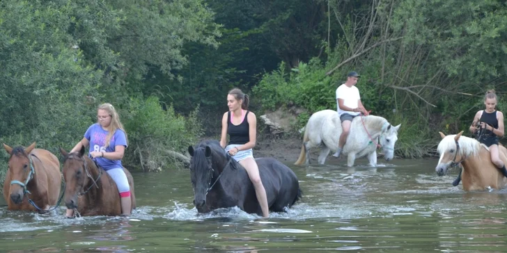 Tábor s koňmi Happy Horse: výborný program pre začiatočníkov aj pokročilých