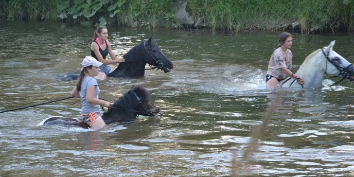 Tábor s koňmi Happy Horse: výborný program pre začiatočníkov aj pokročilých