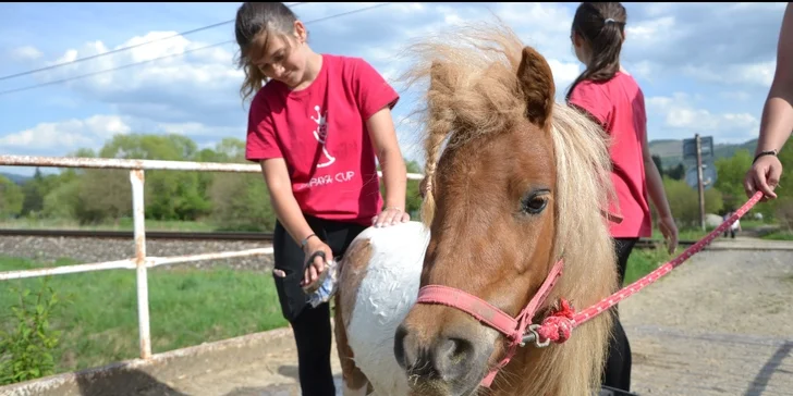 Tábor s koňmi Happy Horse: výborný program pre začiatočníkov aj pokročilých