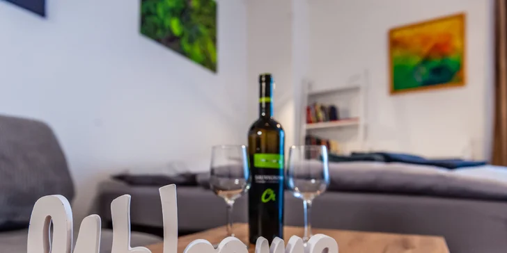 Komfortné apartmány pre 2-3 osoby v blízkosti Thermal Parku Bešeňová