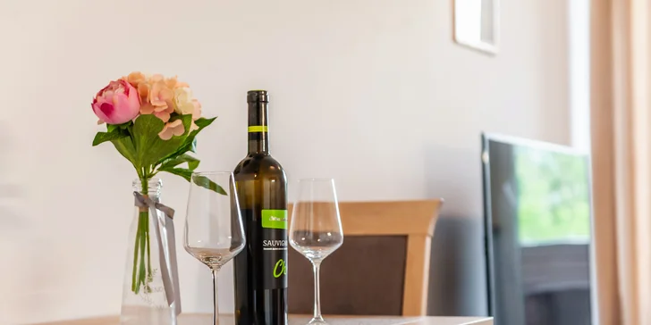 Komfortné apartmány pre 2-3 osoby v blízkosti Thermal Parku Bešeňová
