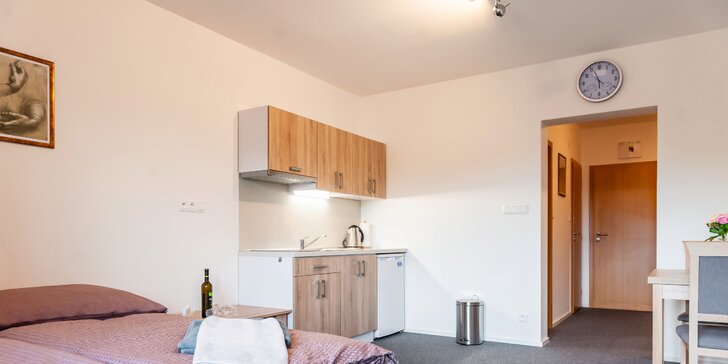 Komfortné apartmány pre 2-3 osoby v blízkosti Thermal Parku Bešeňová