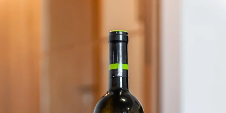 Komfortné apartmány pre 2-3 osoby v blízkosti Thermal Parku Bešeňová