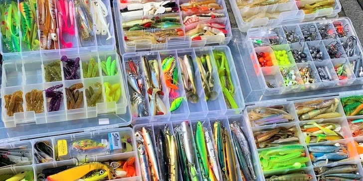 Škola prívlače a muškárenia či vyhliadková plavba rýchločlnom BASS TRACKER 175 TXW alebo NITRO Z19
