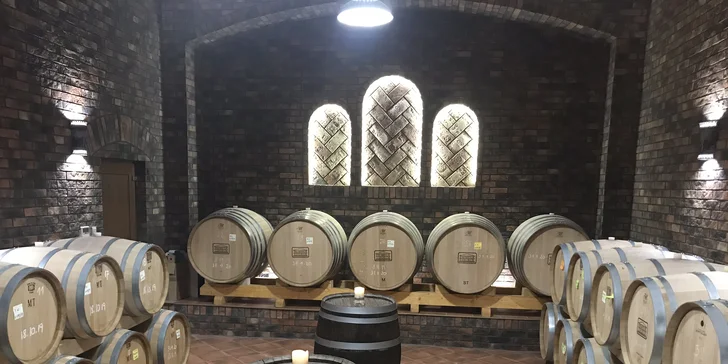 Vstupenky na 1. ročník vínneho festivalu WineFest Galanta