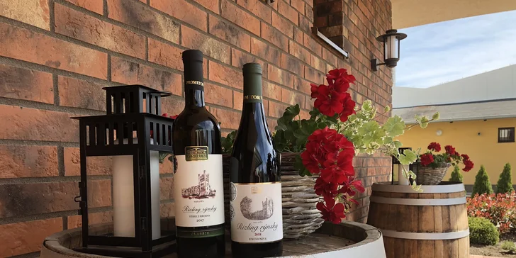 Vstupenky na 1. ročník vínneho festivalu WineFest Galanta