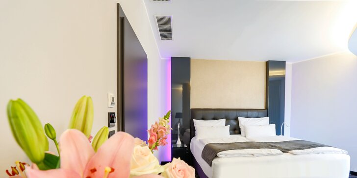 Pobyt v luxusnom hoteli Dancing House s krásnym výhľadom: izba Deluxe a raňajky