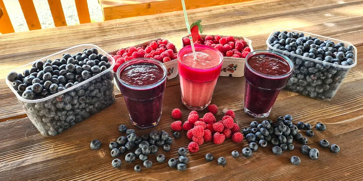 Lahodné čerstvé plody či osviežujúce ovocné smoothies z prírody Kraľovian