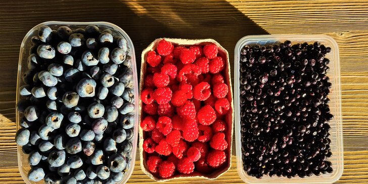 Lahodné čerstvé plody či osviežujúce ovocné smoothies z prírody Kraľovian