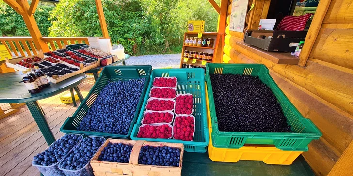 Lahodné čerstvé plody či osviežujúce ovocné smoothies z prírody Kraľovian