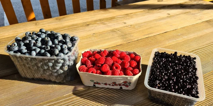 Lahodné čerstvé plody či osviežujúce ovocné smoothies z prírody Kraľovian