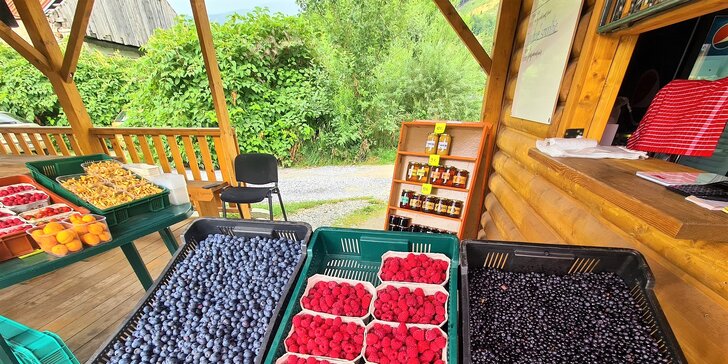 Lahodné čerstvé plody či osviežujúce ovocné smoothies z prírody Kraľovian