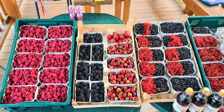 Lahodné čerstvé plody či osviežujúce ovocné smoothies z prírody Kraľovian