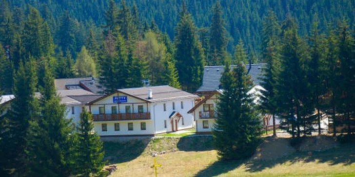 Pobyt pre 2 alebo 4 osoby v apartmánových domoch na Donovaloch
